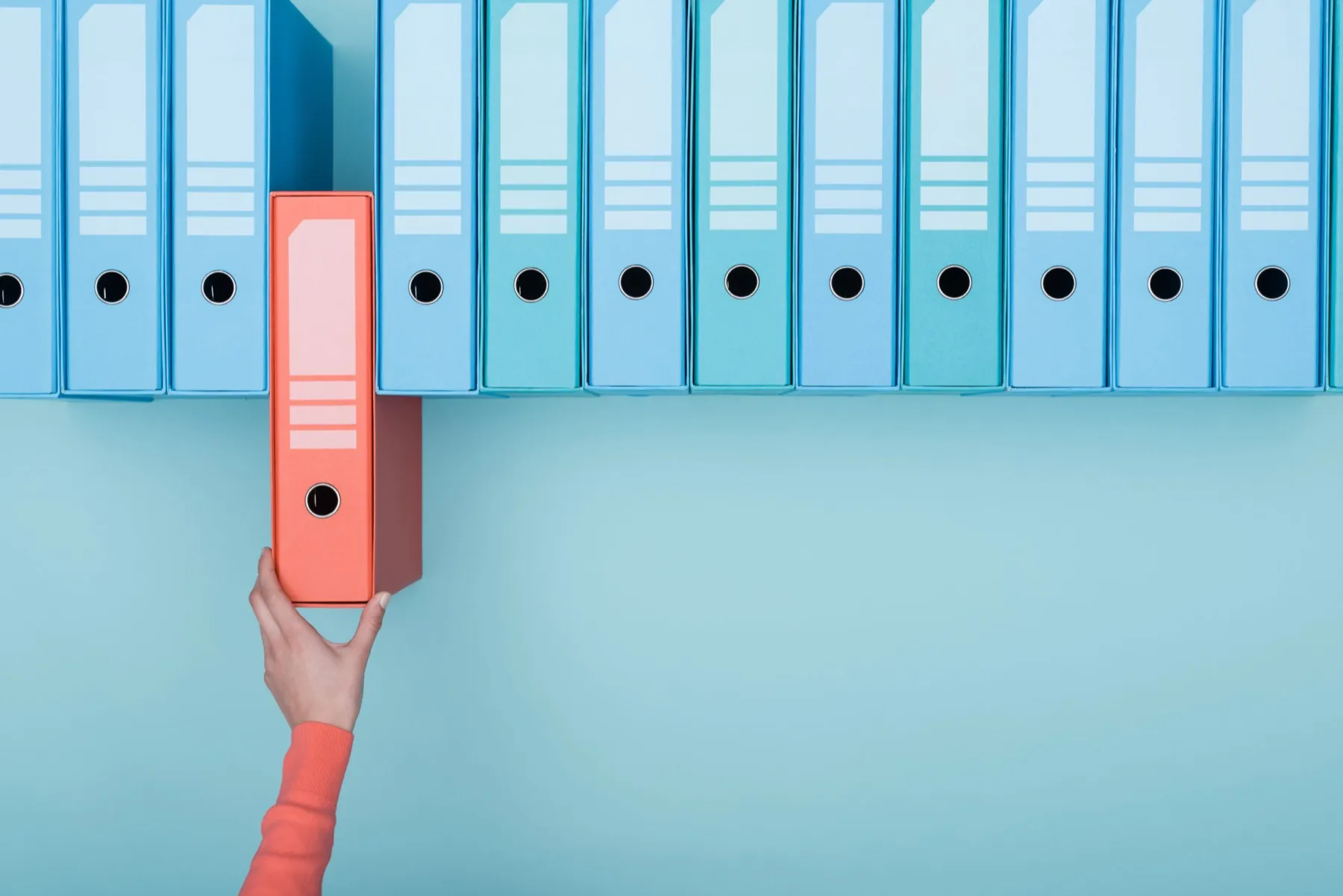 Gestione digitale dei processi aziendali